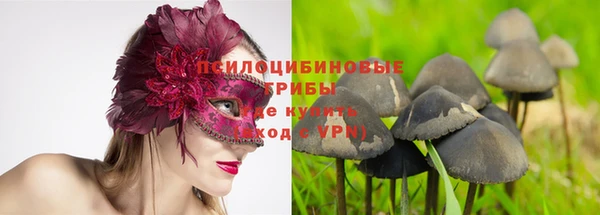 СК Заволжск