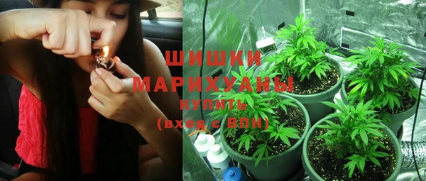 прущие грибы Зеленодольск