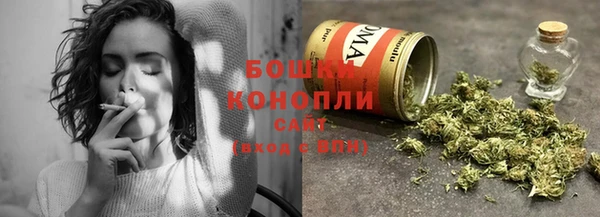прущие грибы Зеленодольск