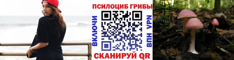 хочу   Цоци-Юрт  Псилоцибиновые грибы Psilocybine cubensis 